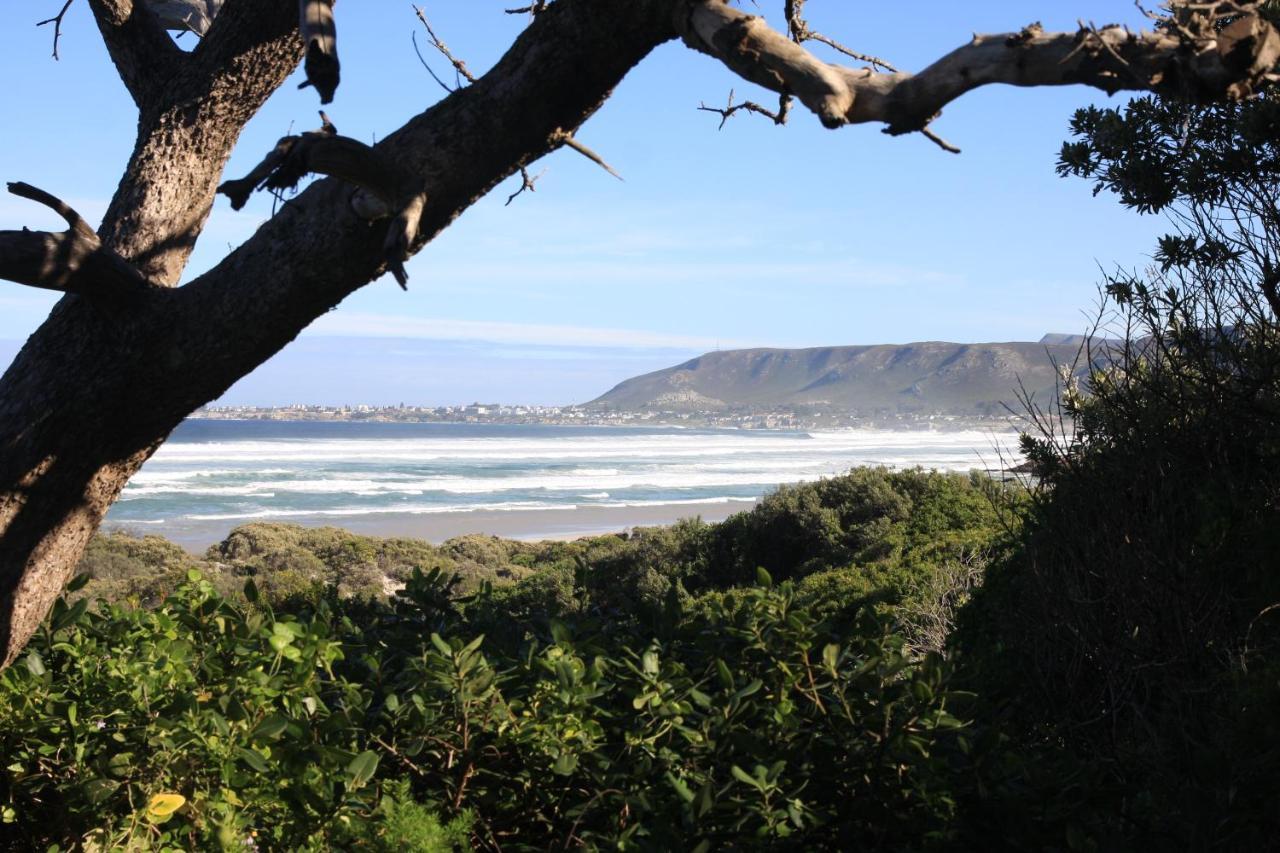Valentines Hermanus Exteriér fotografie